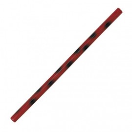 Baton de Kali 66 cm Rouge et Noir vernis
