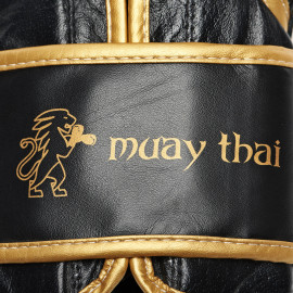 Gants de boxe Thaï LEONE - scratch